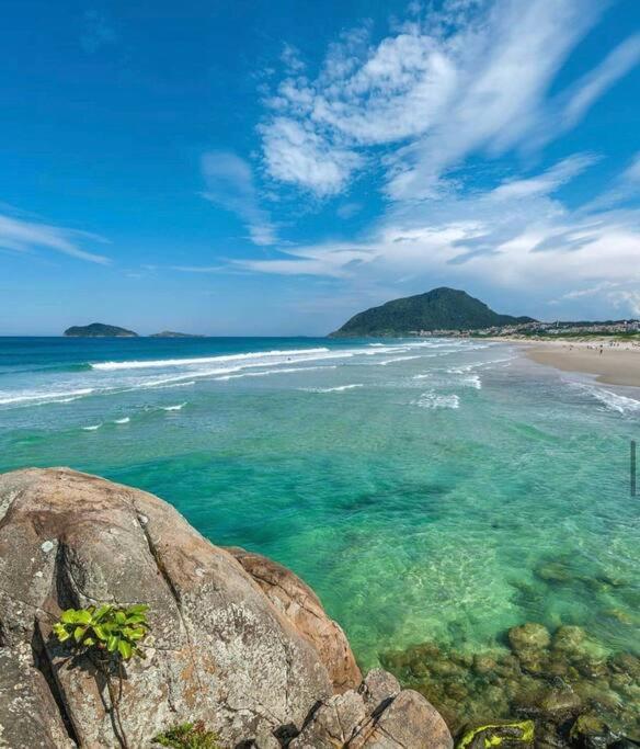 Ape Incrivel Nos Ingleses * Florianopolis
